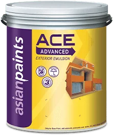 exterior wall paint Ace