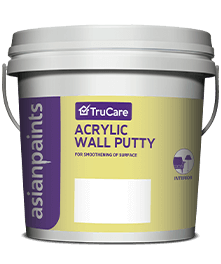 Acrylic Putty